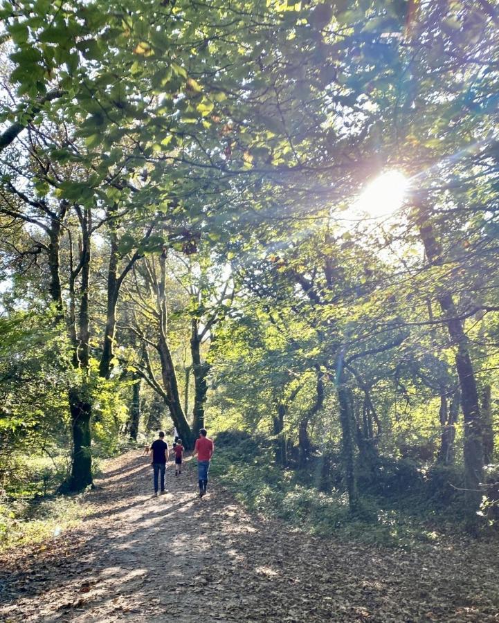 ホテル The Kingswood セント・オーステル エクステリア 写真